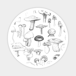 The Mushroom Gang Magnet